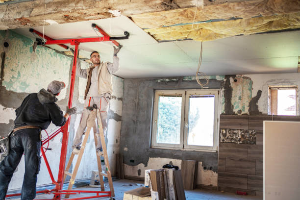 Best Insulation Contractor Near Me  in Haleiwa, HI