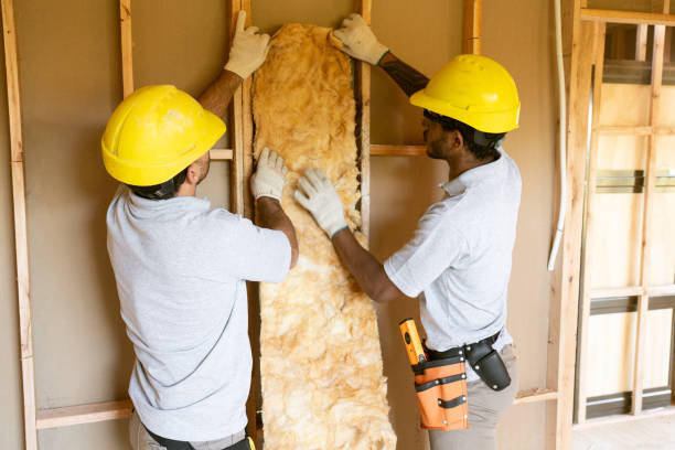 Best Energy-efficient Insulation  in Haleiwa, HI